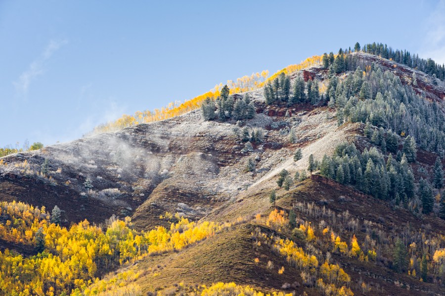 Frost on Colorado mountains