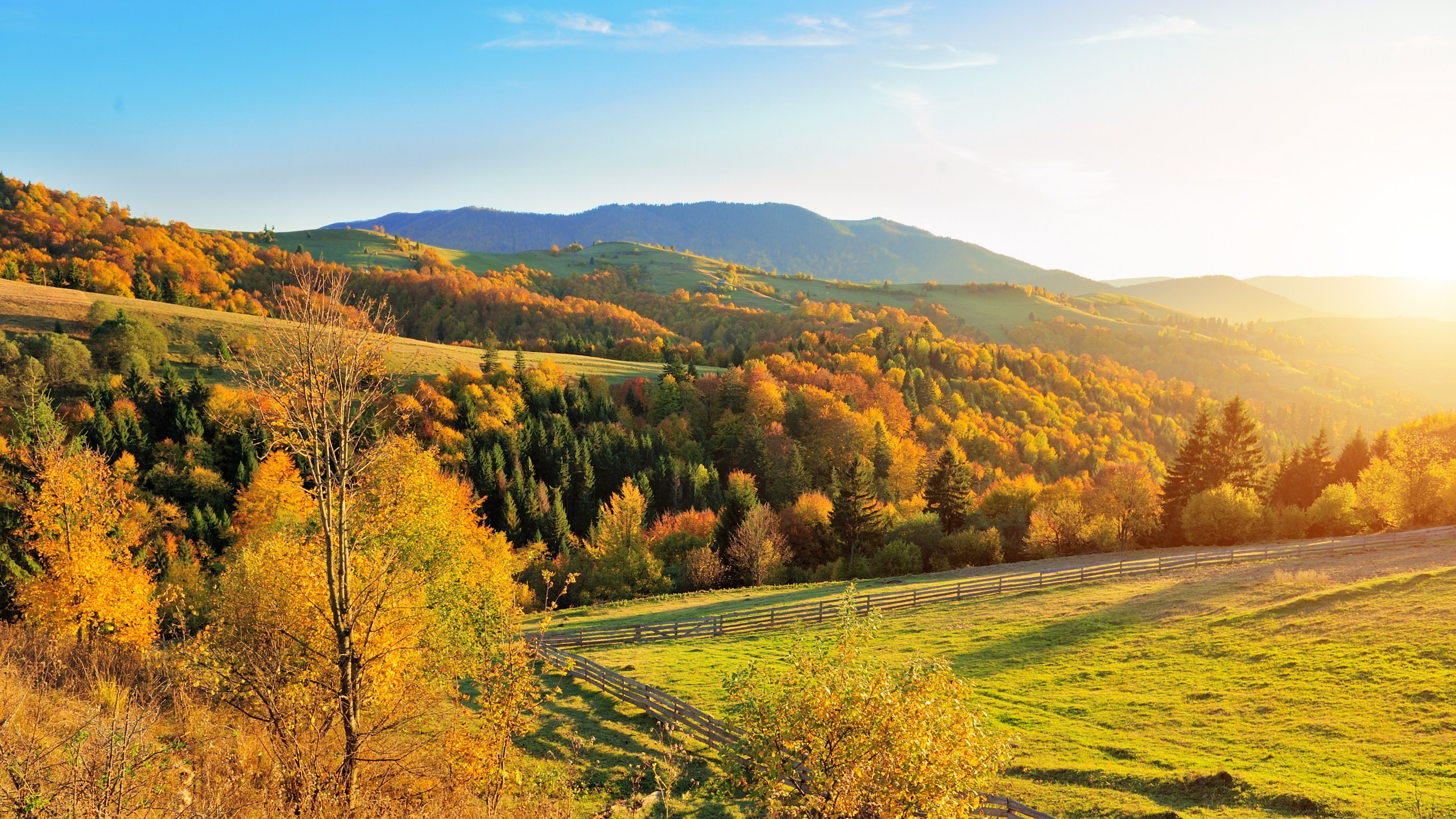 Fall sunshine in Colorado