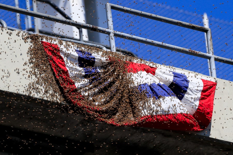 A swarm of bees invaded the upper deck of left field before the game between the Cleveland Indians and the Kansas City Royals