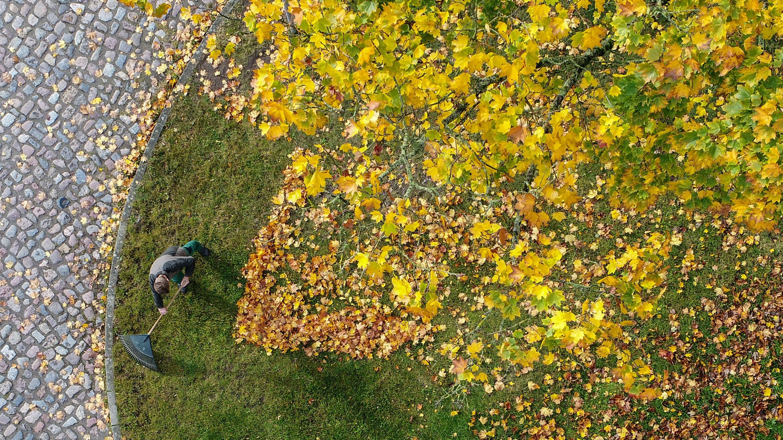 GERMANY-WEATHER-AUTUMN-FEATURE