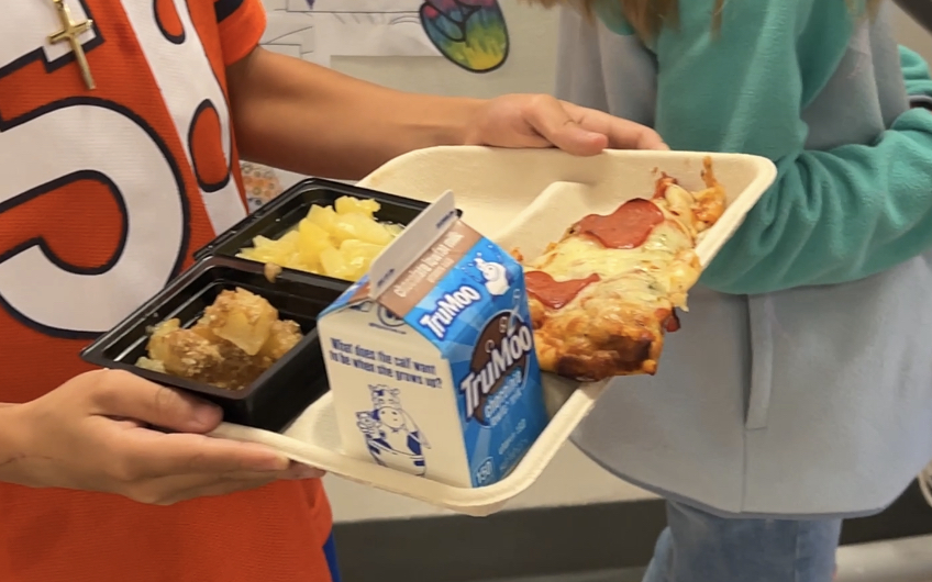 Compostable school lunch trays.