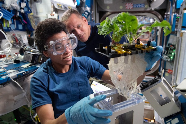 Astronaut Jessica Watkins works with gardening experiment