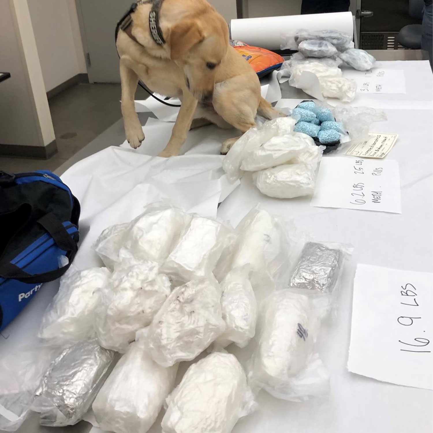 Table with meth and counterfeit pills confiscated in Weld