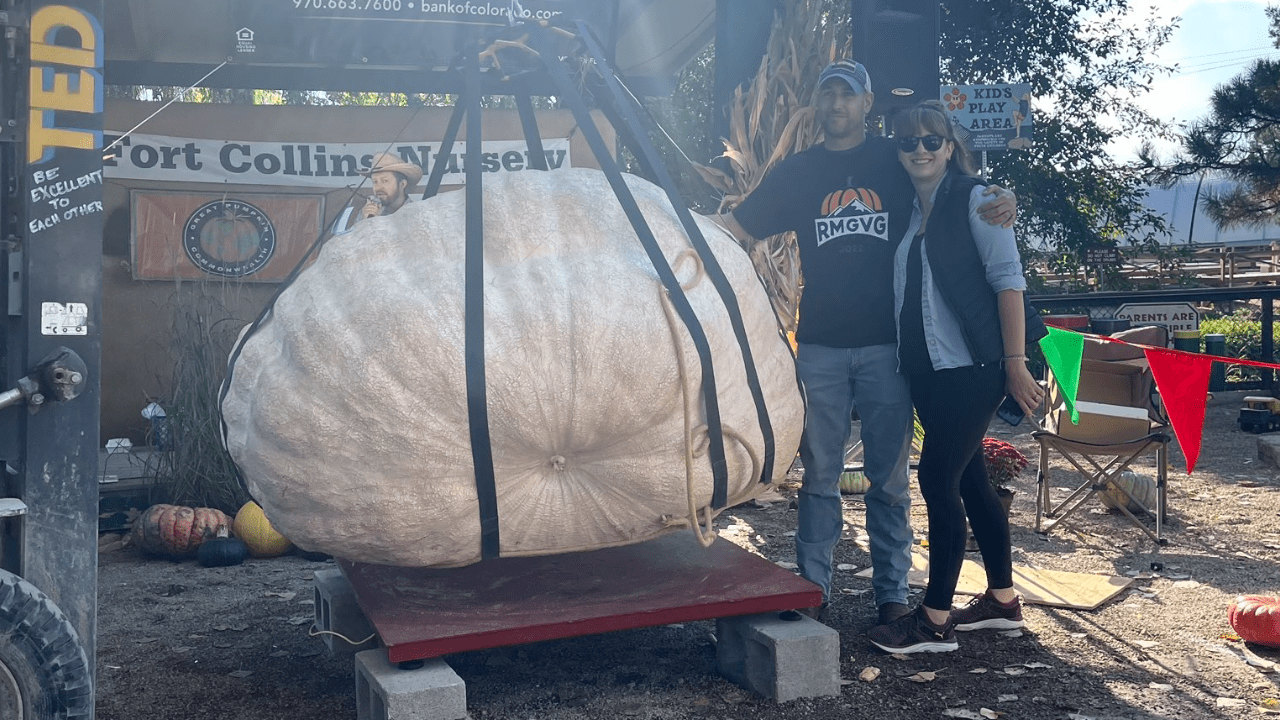 Second biggest pumpkin in Colorado's history, grown by a firefighter at Station 11 in Aurora - 2