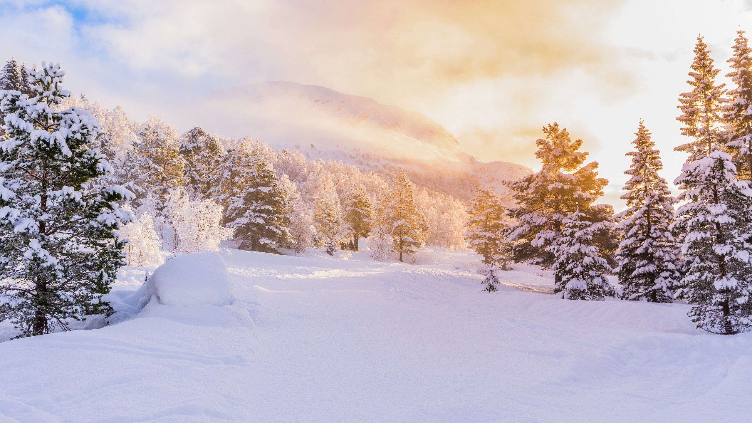 Snow in Colorado