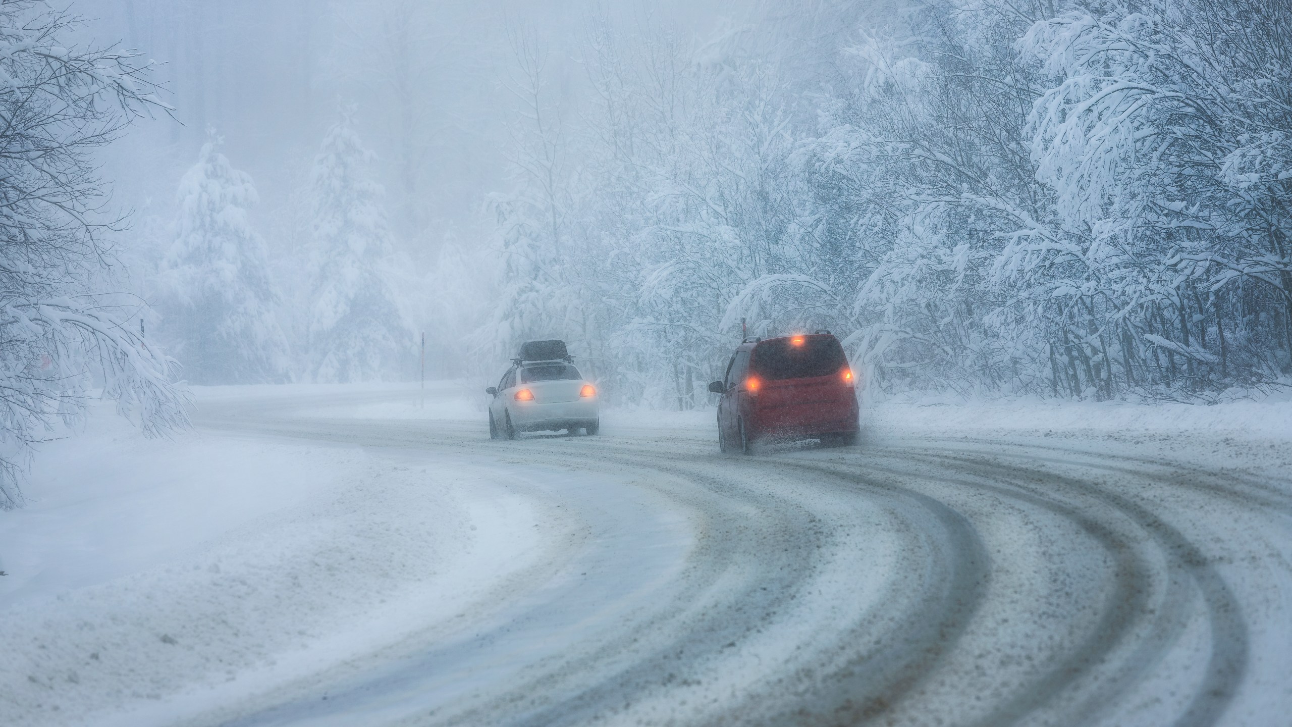 Winter wonderland landscapes. Trees covered with snow. Everywhere is white. Cold weather. Beautiful background images.