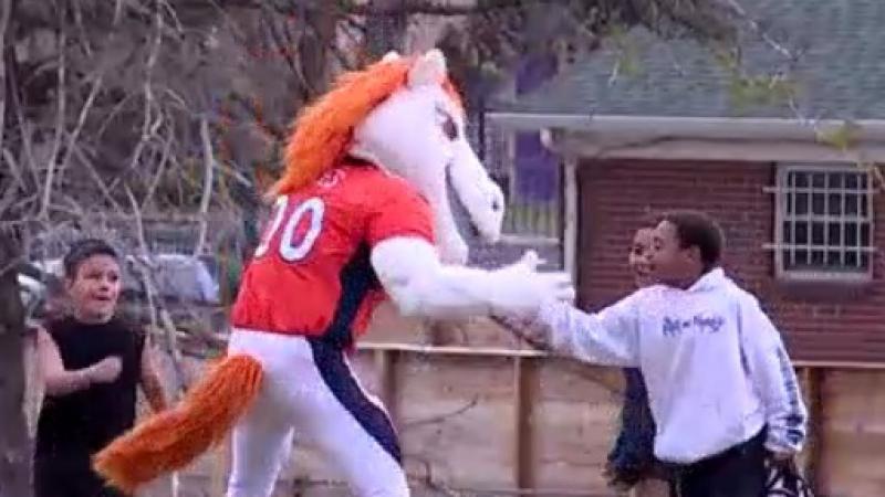 Denver Broncos mascot high fives a boy