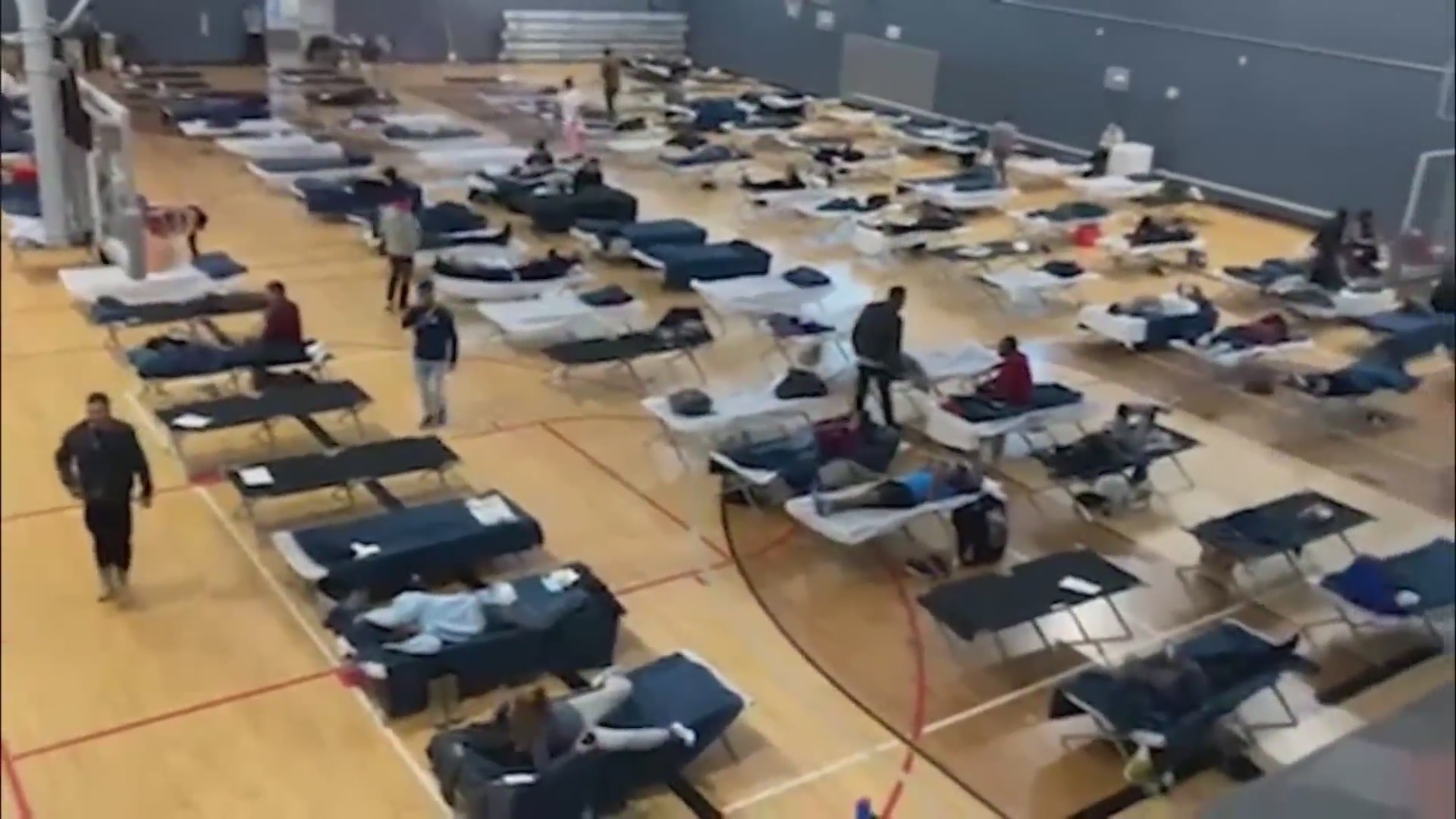 A gymnasium lined with several rows of cots