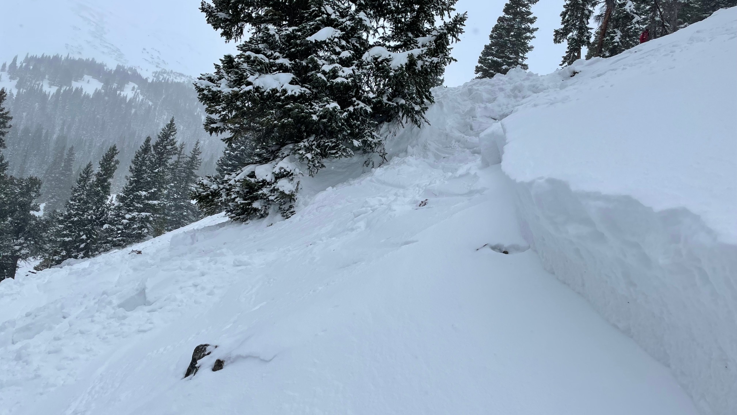 Image looking across the crown face of the avalanche