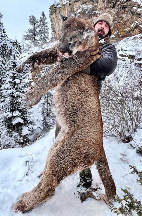 Man holds up a dead mountain lion almost as big as him in the snowy mountains