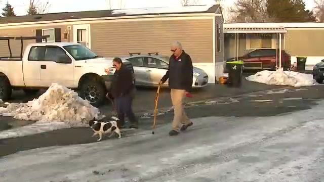 A person with a dog and a person with a cane walk on an icy road in a mobile home community