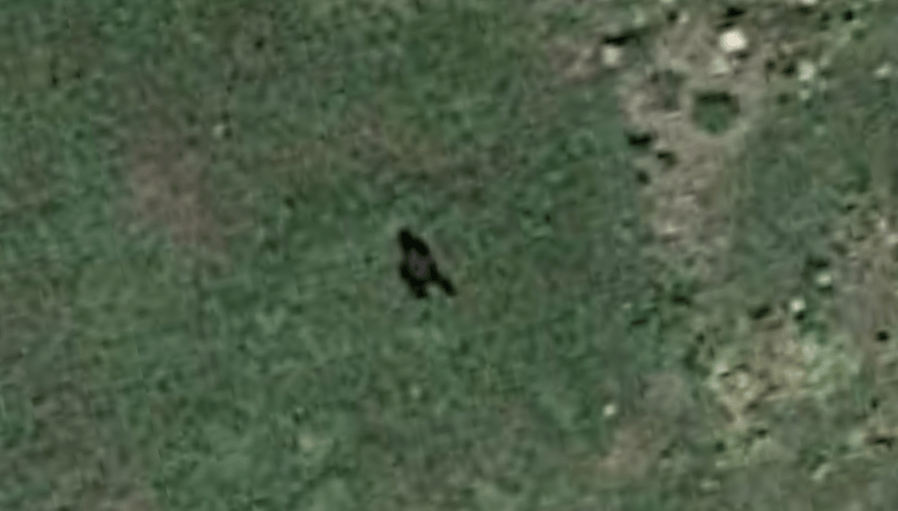 Wide shot of Bigfoot sighting in Montrose County (Credit: Google Earth)