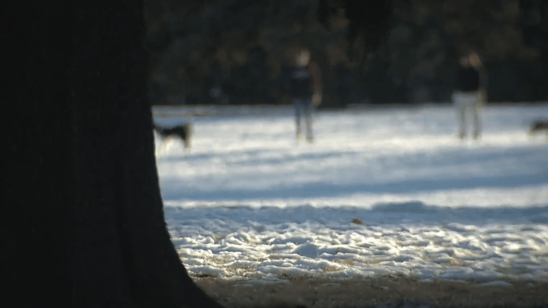 People walking a dog in a Denver park.