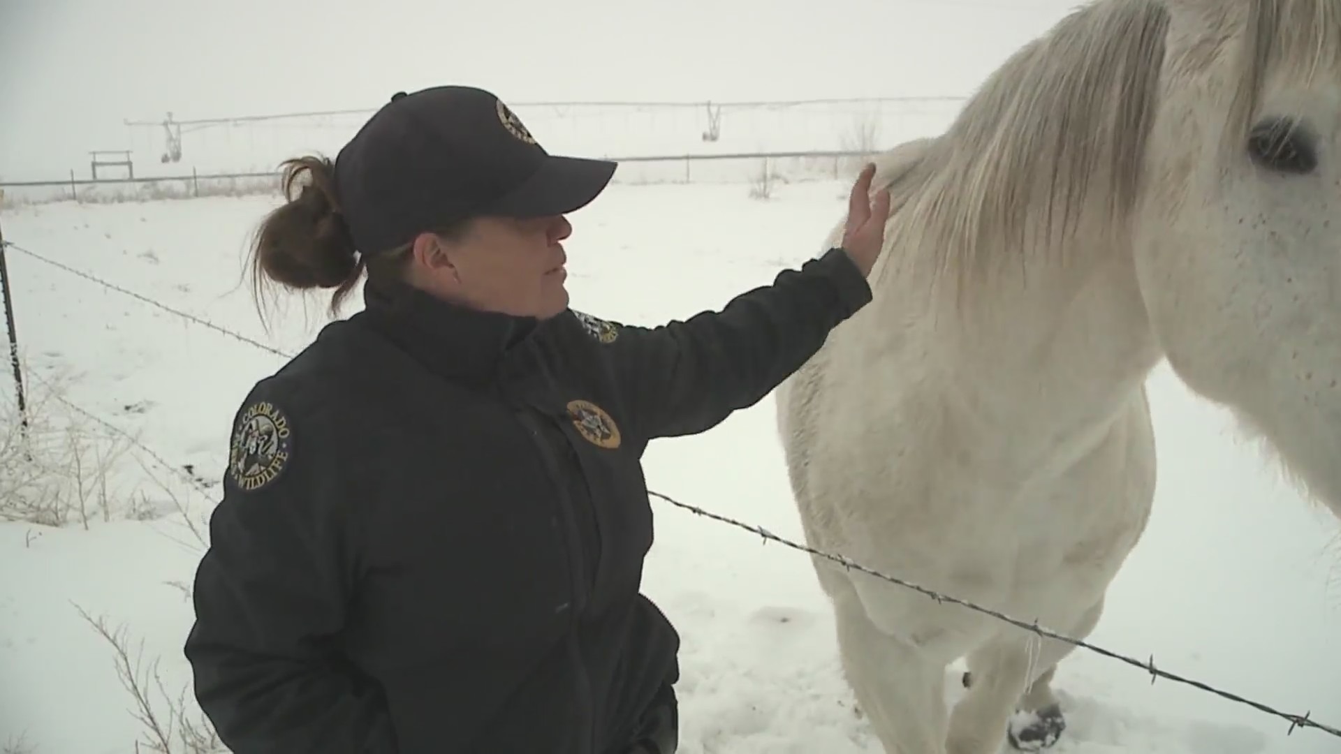 Ranger Michelle Seubert petting a horse during her rounds.