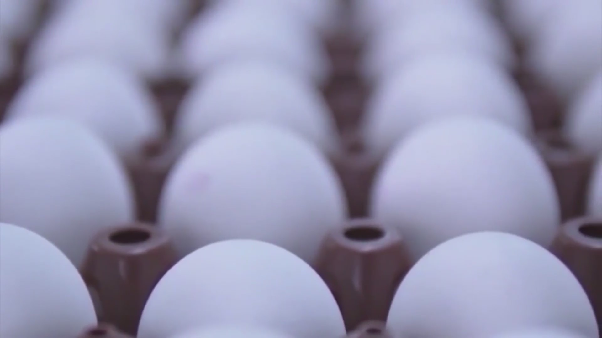 Egg prices are rising due to a few factors.