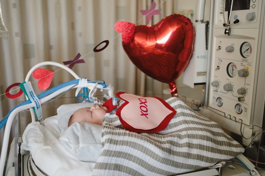 NICU babies at Children’s Hospital Colorado