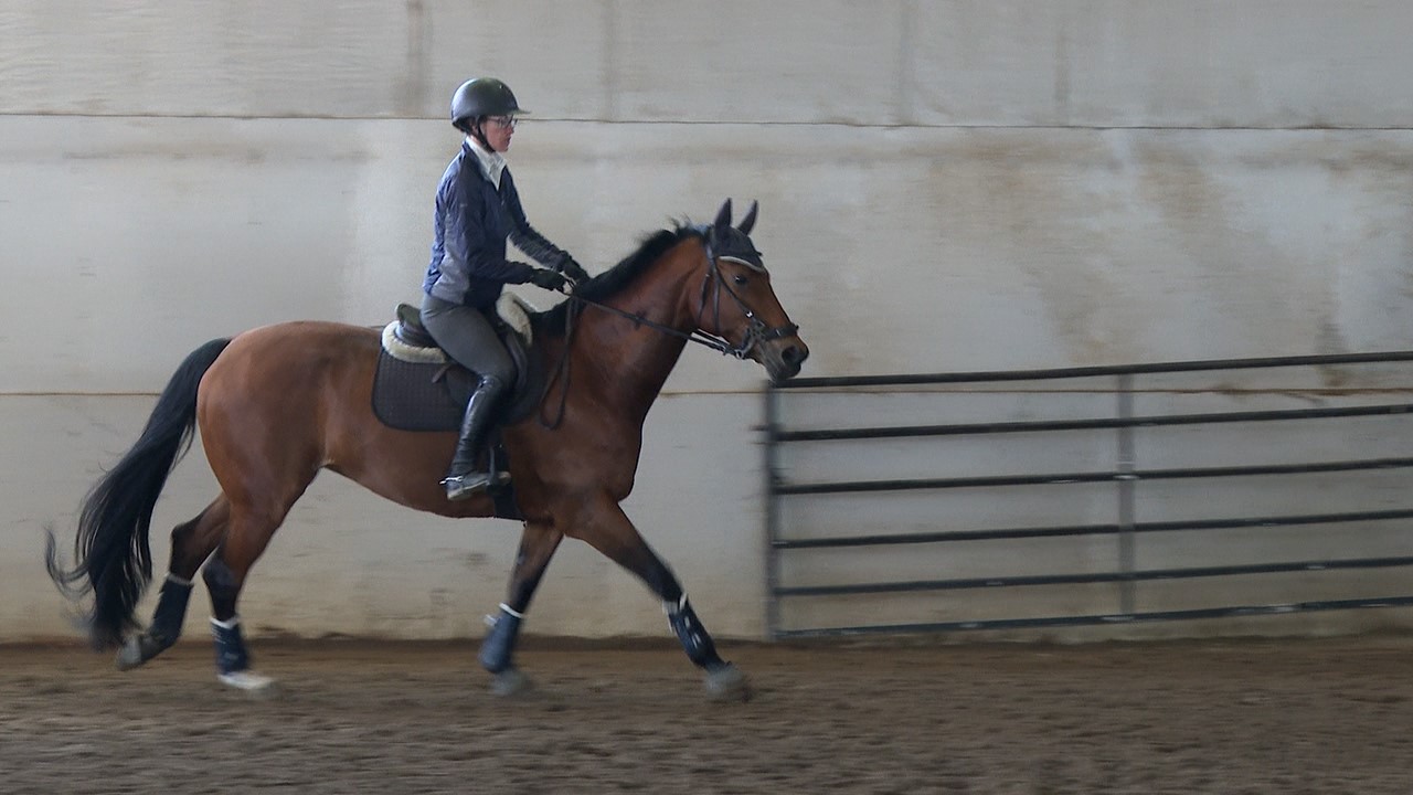 A person riding on a horse