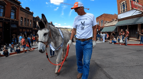 A man walking a donkey down a mountain mining town street