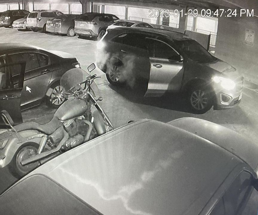 DougCo car break-ins 3