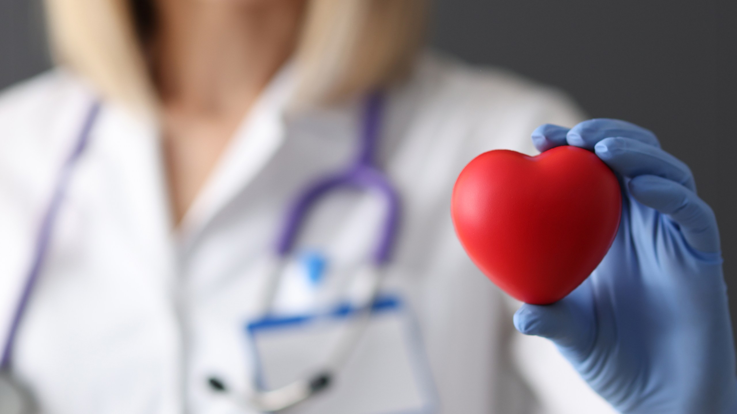 Doctor in rubber gloves holding red toy heart in his hands closeup