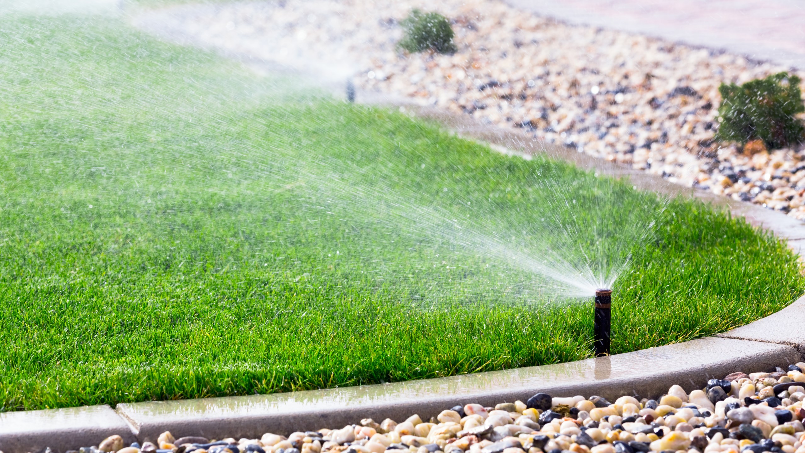 Sprinklers spray water in the corner of a yard.