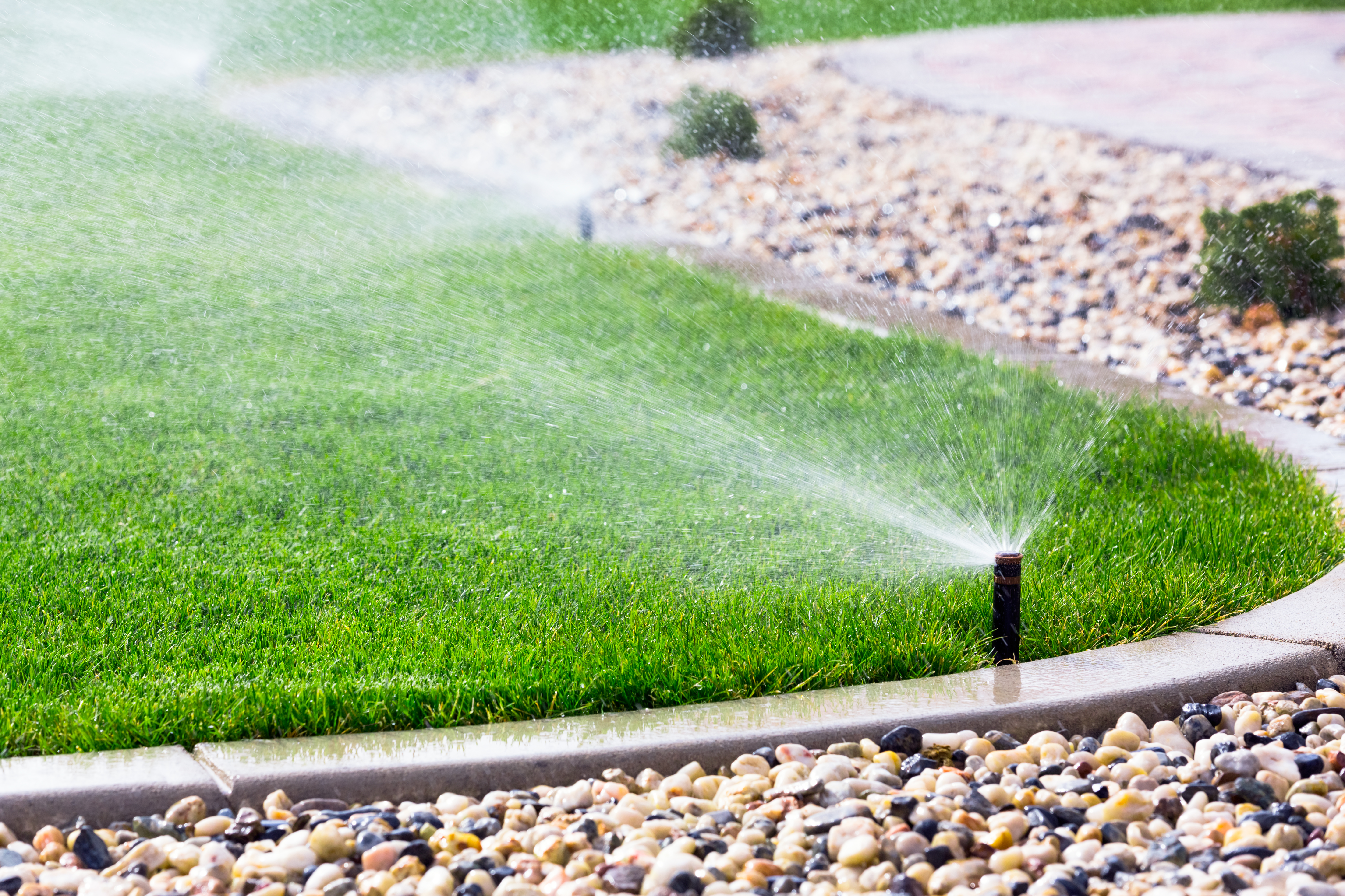 Sprinklers spray water in the corner of a yard.