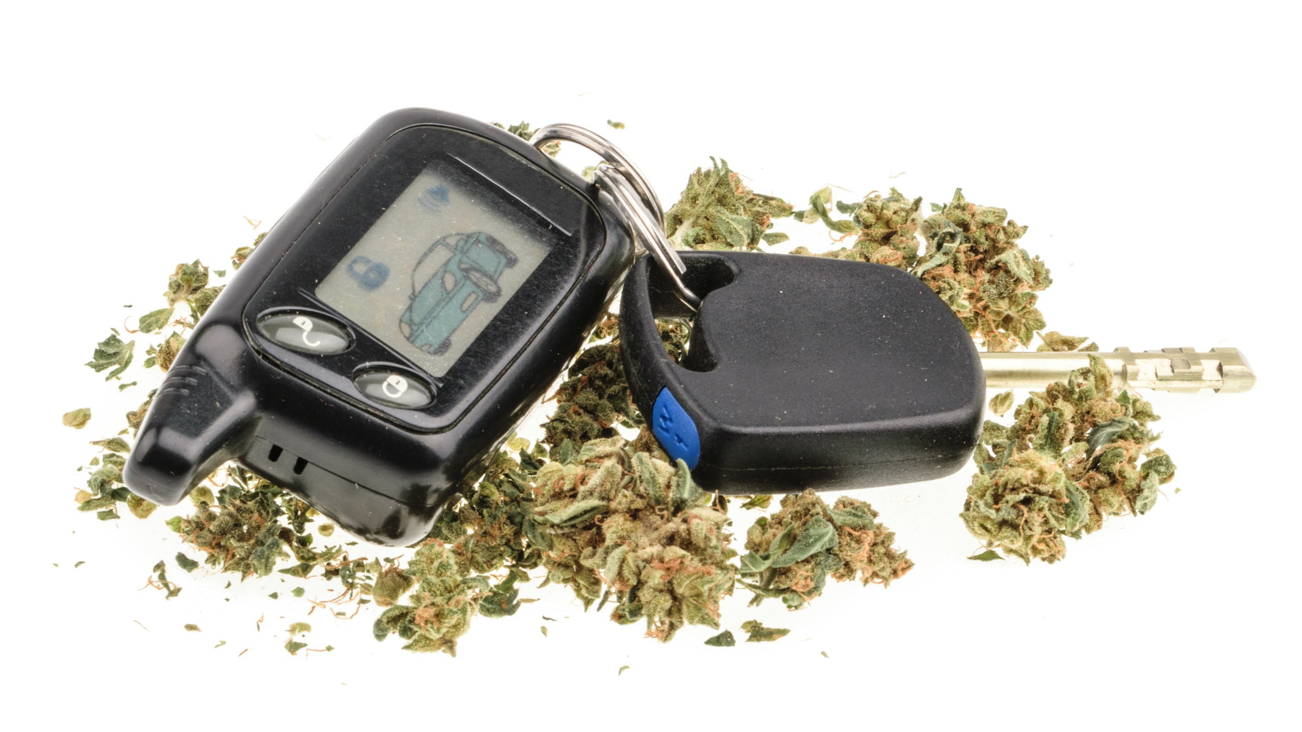 Driving high, marijuana and car key isolated on white