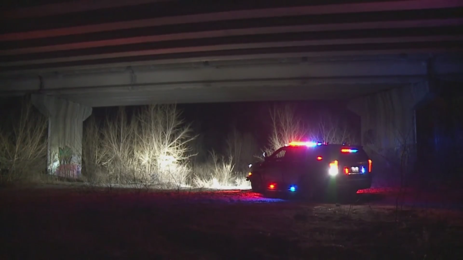 A police SUV below a bridge at night