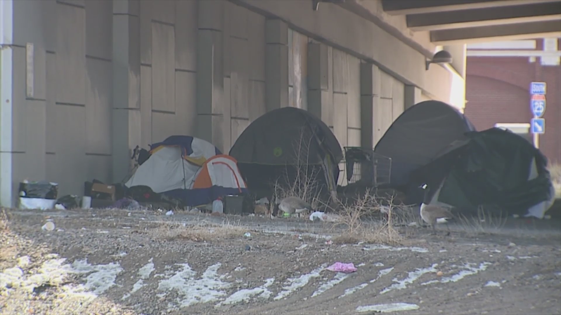 Several tents grouped together beneath an I-25 underpass