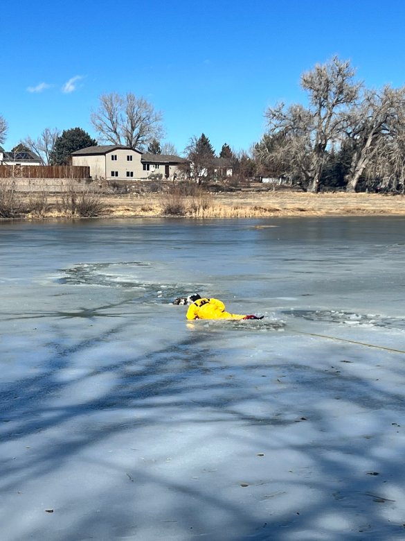 Crews rescue dogs 4