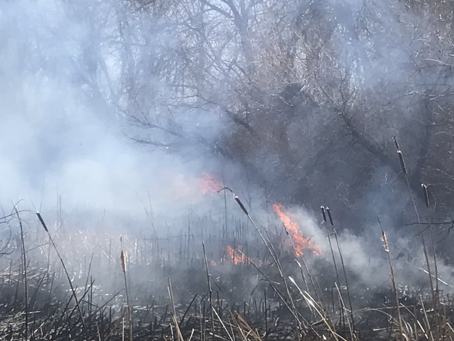 Brush fire burning off Parker and Chambers roads in Aurora