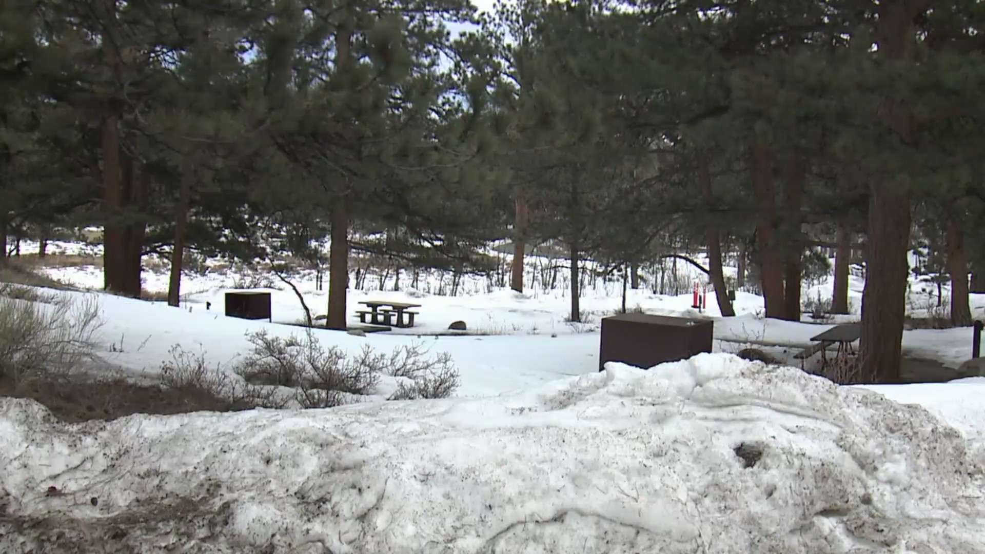 Snow-covered campground with picnic tables and evergreen trees