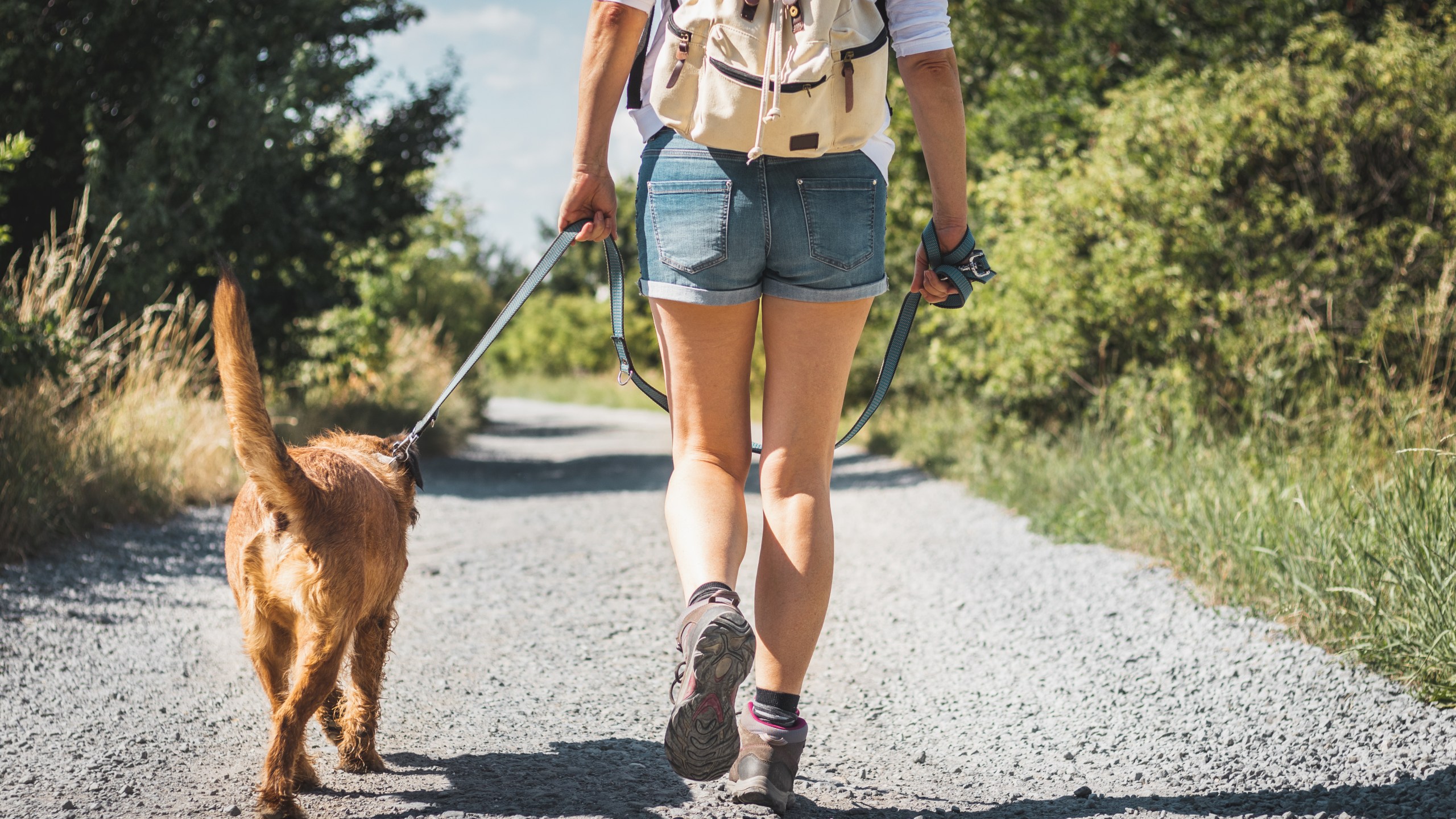 Woman and dog together walking on dirt road.