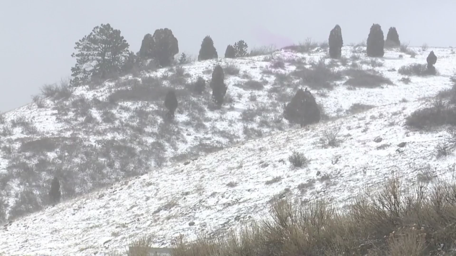 Golden, CO. during a snowstorm after a fire burned through 44 acres in the area the previous weekend.