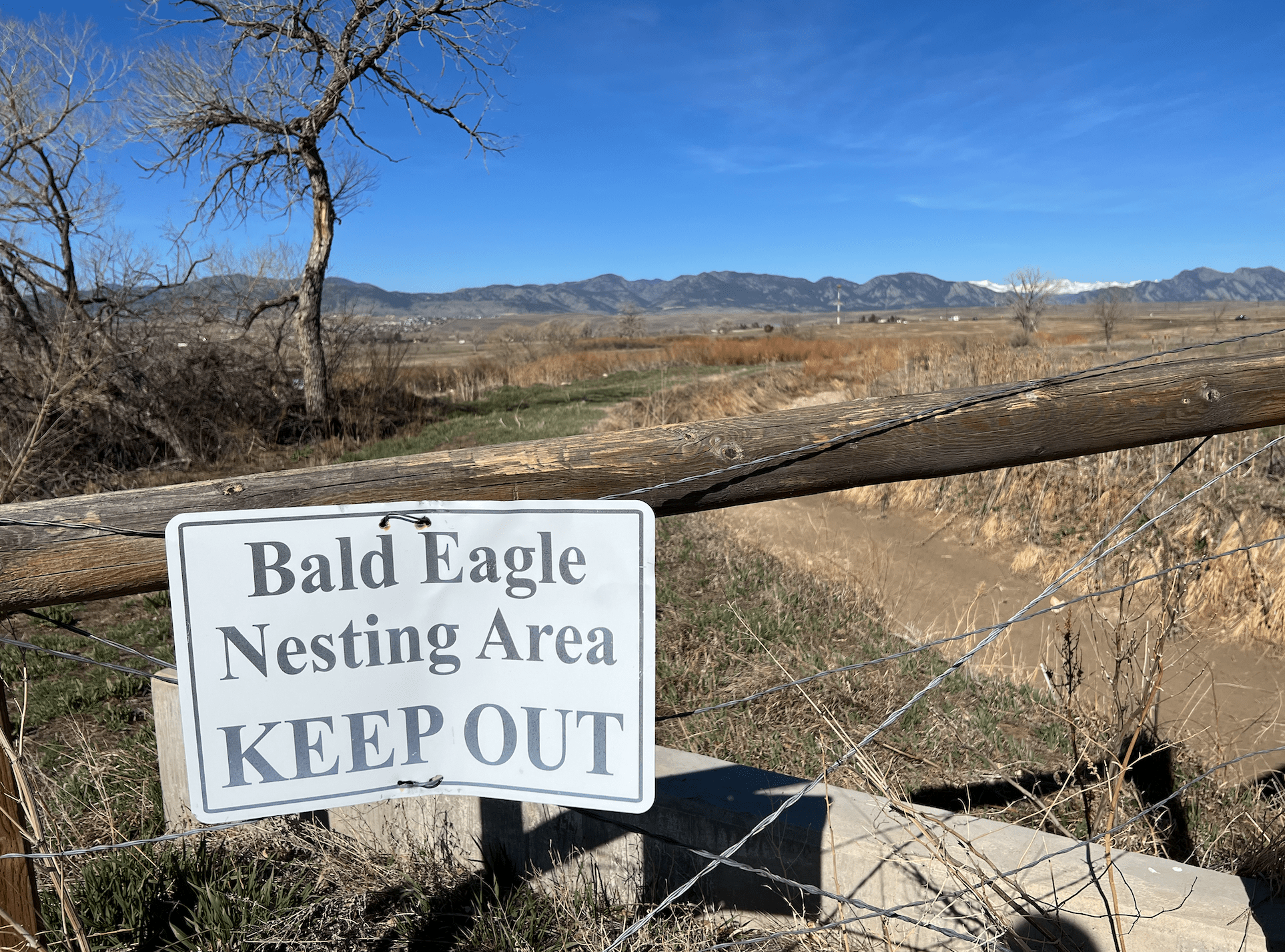 Sign in front of an open space that says "BALD EAGLE NESTING KEEP OUT"