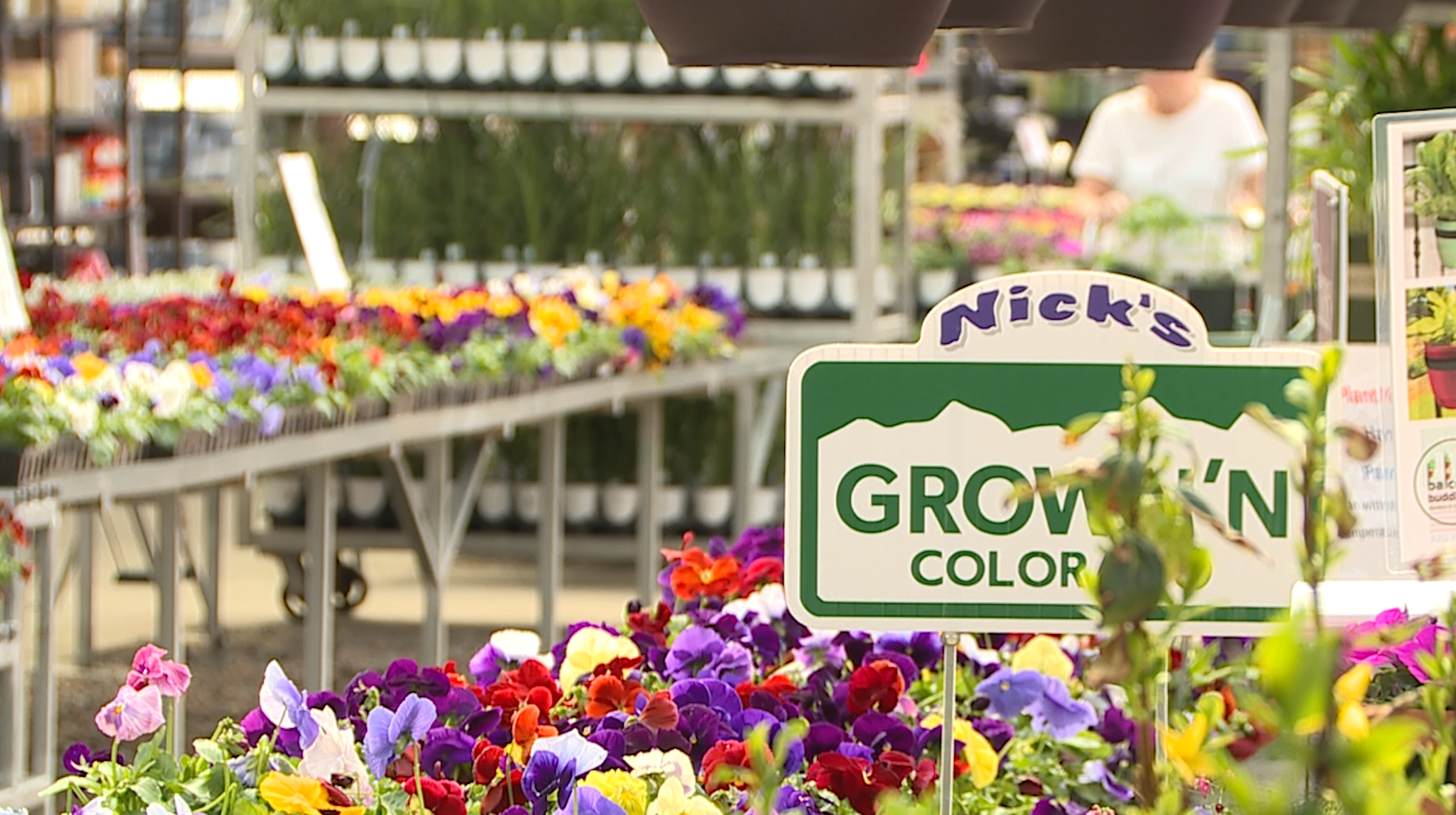 Flower-covered tables inside Nick’s Garden Center and Farm Market in Aurora