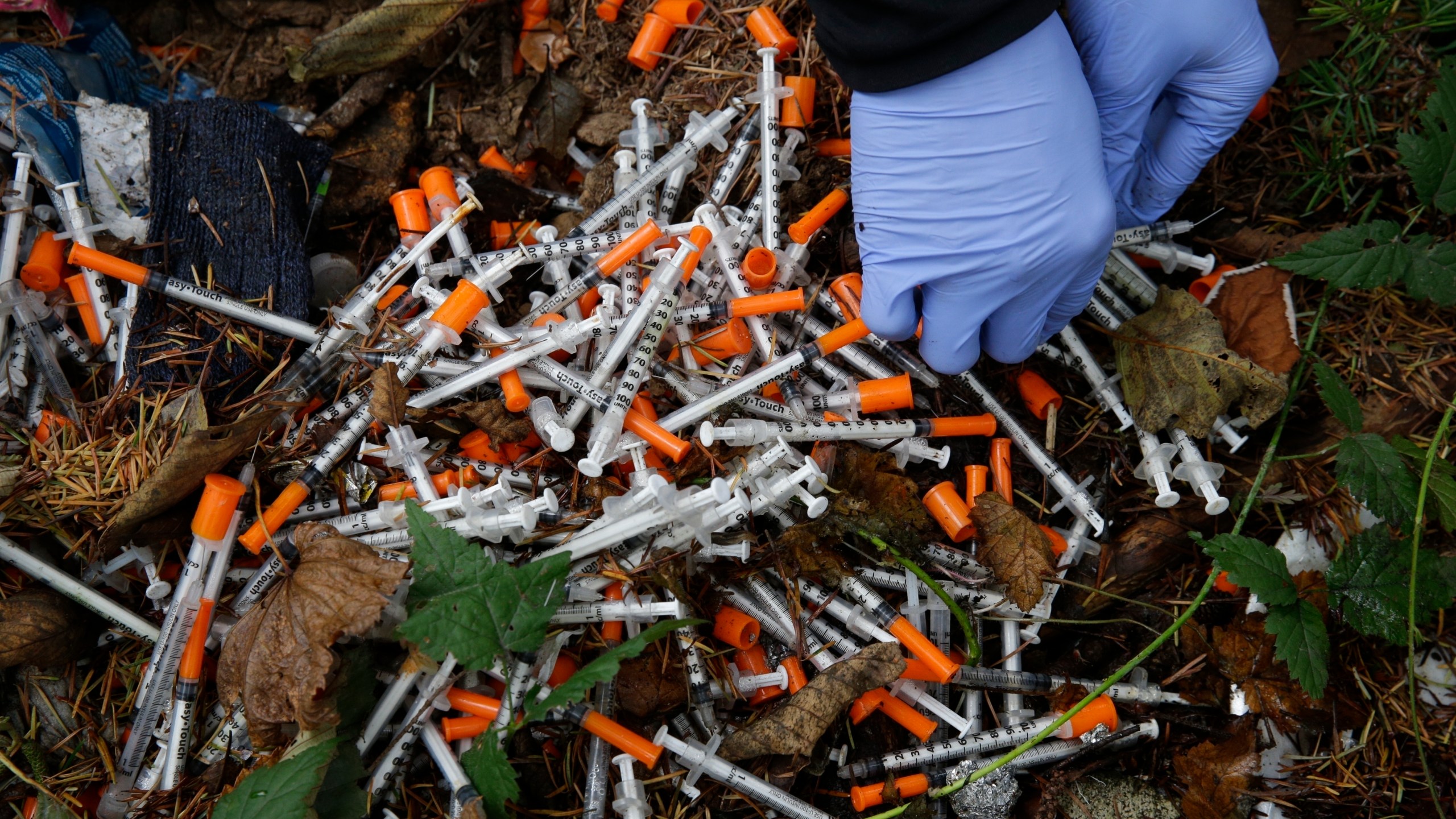 FILE - A volunteer cleans up needles used for drug injection that were found at a homeless encampment in Everett, Wash., Nov. 8, 2017. (AP Photo/Ted S. Warren, File)