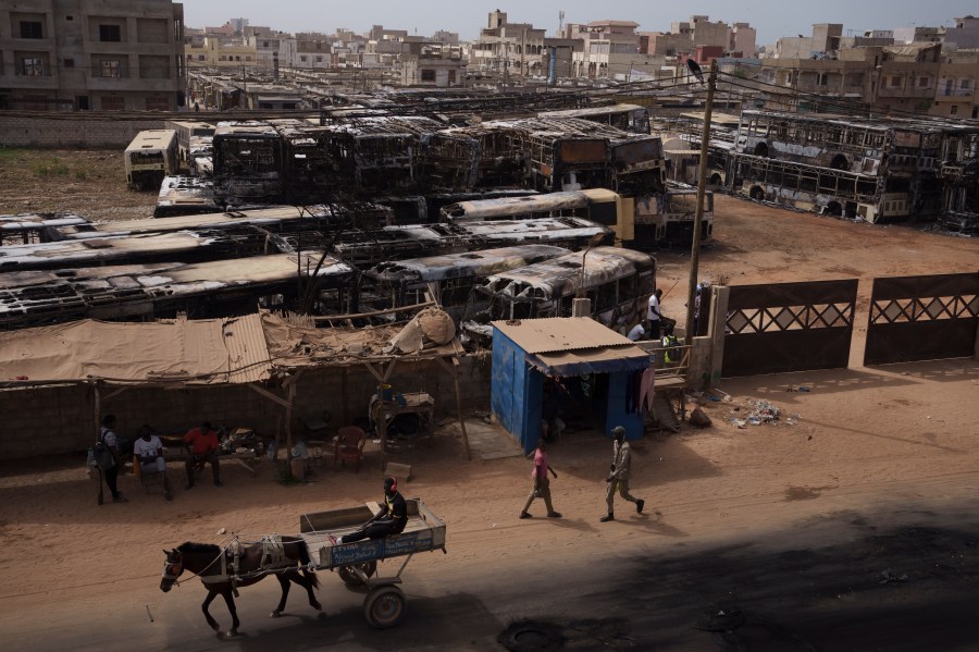 A man drives his horse-drawn cart past burned buses, parked in a lot for out of service vehicles, that were set on fire during protests last night in Keur Massar, Dakar region, Senegal, Tuesday, May 16, 2023. According to the authorities at least three people died, including a police officer who was hit by a police vehicle, in Dakar and Ziguinchor during clashes between security forces and supporters of Senegalese opposition leader Ousmane Sonko. (AP Photo/Leo Correa)