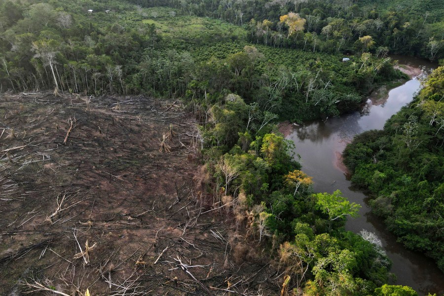 FILE - Cut down trees lie near the limit of the Cordillera Azul National Park, Peru's Amazon, on Oct. 3, 2022. The 27 European Union countries have formally adopted new rules that should help the bloc reduce its contribution to global deforestation by regulating the trade in a series of goods. (AP Photo/Martin Mejia, File)