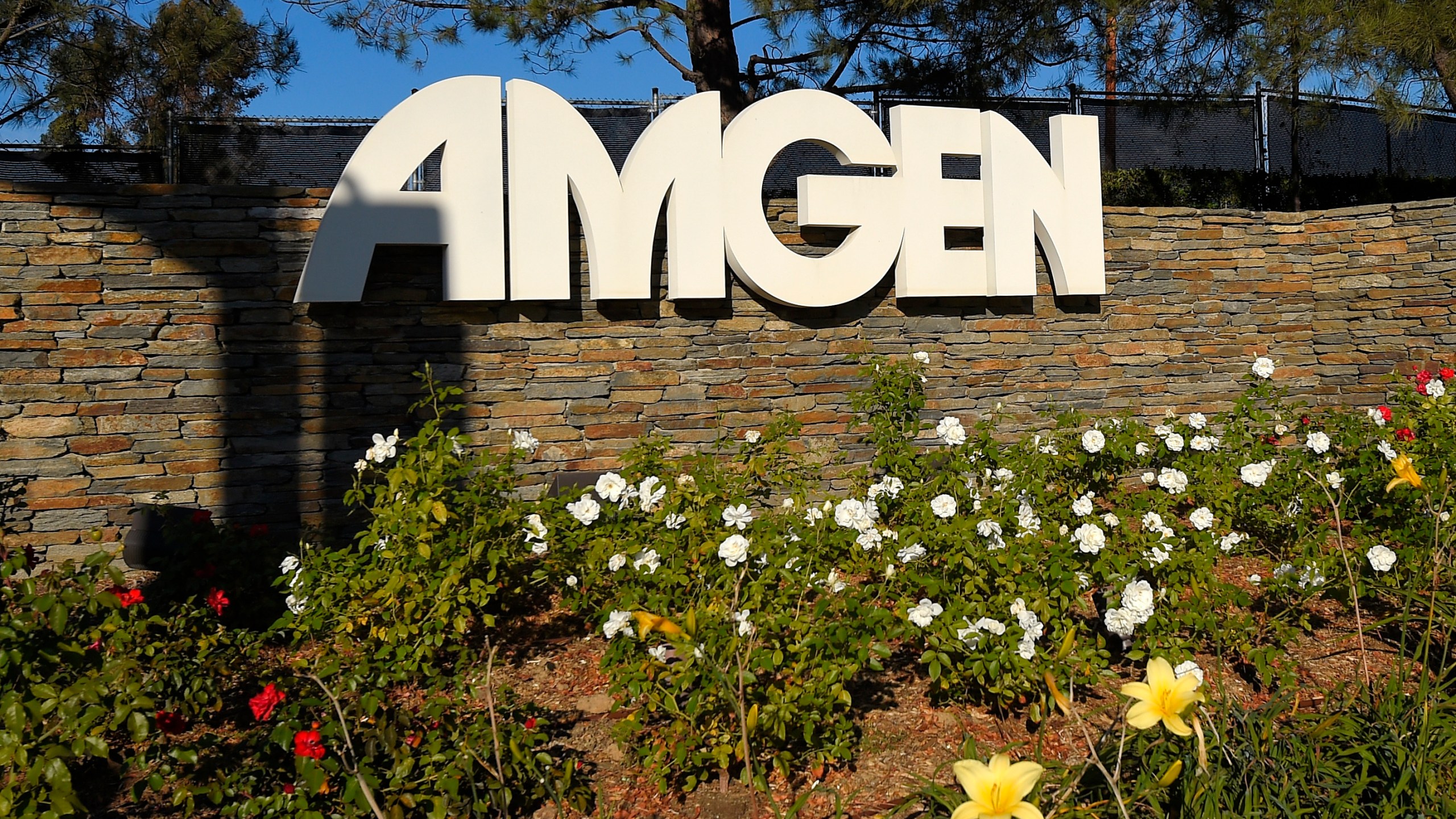 FILE - This photo shows signage outside the Amgen headquarters in Thousand Oaks, Calif on Nov. 9, 2014. Federal regulators are suing to block biotech drug developer Amgen’s more than $26 billion deal for Horizon Therapeutics. The Federal Trade Commission said Tuesday, May 16, 2023, that the deal, announced last December, would give Amgen unfair leverage to block competition for Horizon medications. (AP Photo/Mark J. Terrill, File)