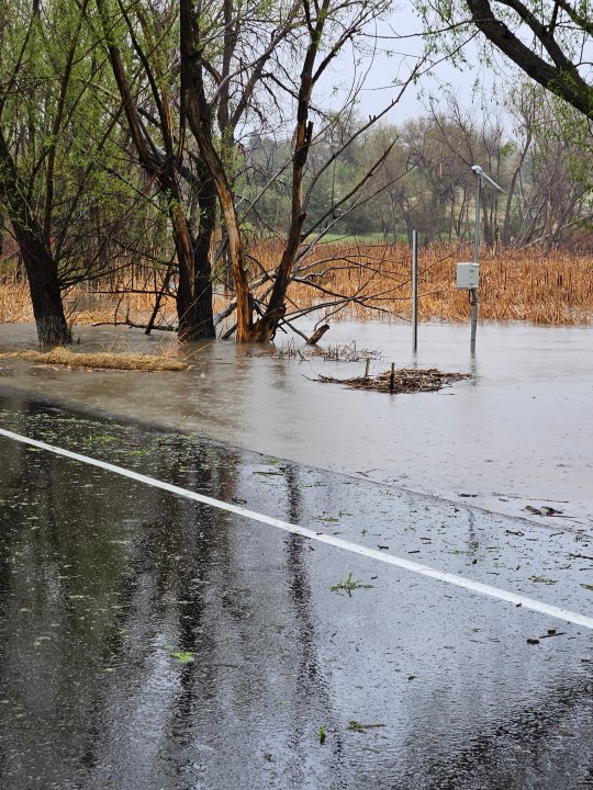 Cherry-Creek-State-Park-damage-7