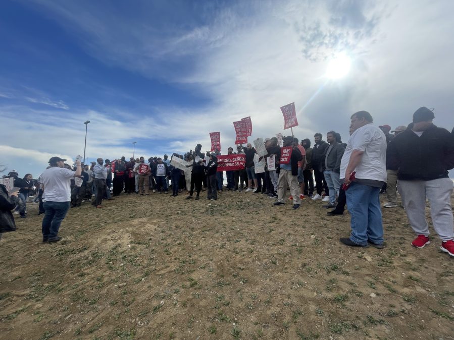 A few dozen protesters on the grass near Denver International Airport