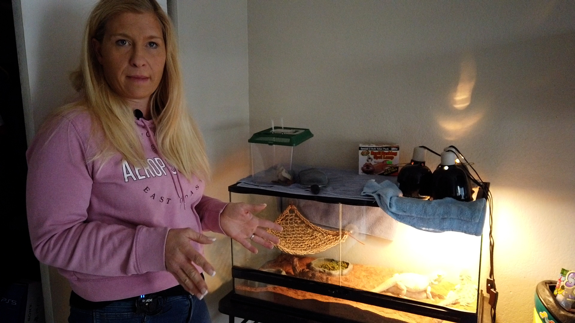 Erica Moore with the family's bearded dragons, Peach and Beau, in a terrarium