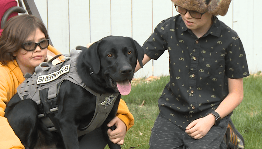 Two boys stand next to a K-9 police dog in a vest