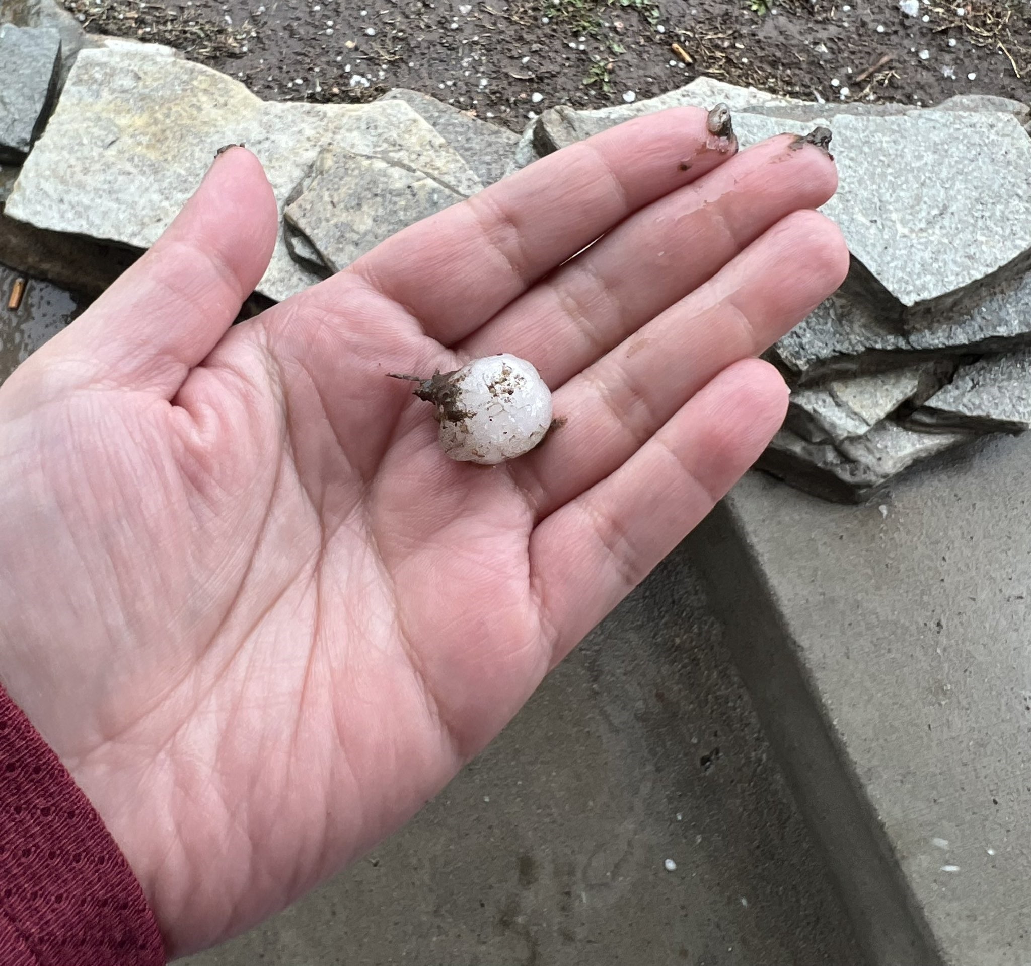 A piece of hail is held in hand.