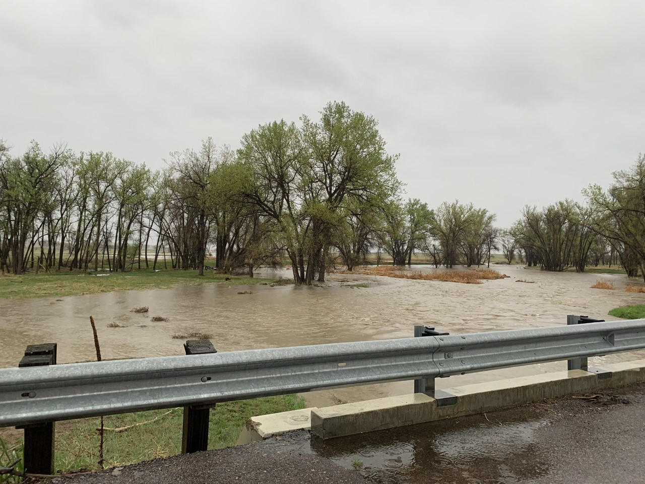 Flood water is covering land with a tree isolated in the water.